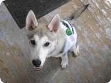 Roxy Power Saving PupUploaded on: 11/13/2021 2:31:27 PM